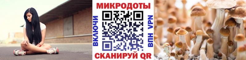 Псилоцибиновые грибы Psilocybe  Купить  Бобров 